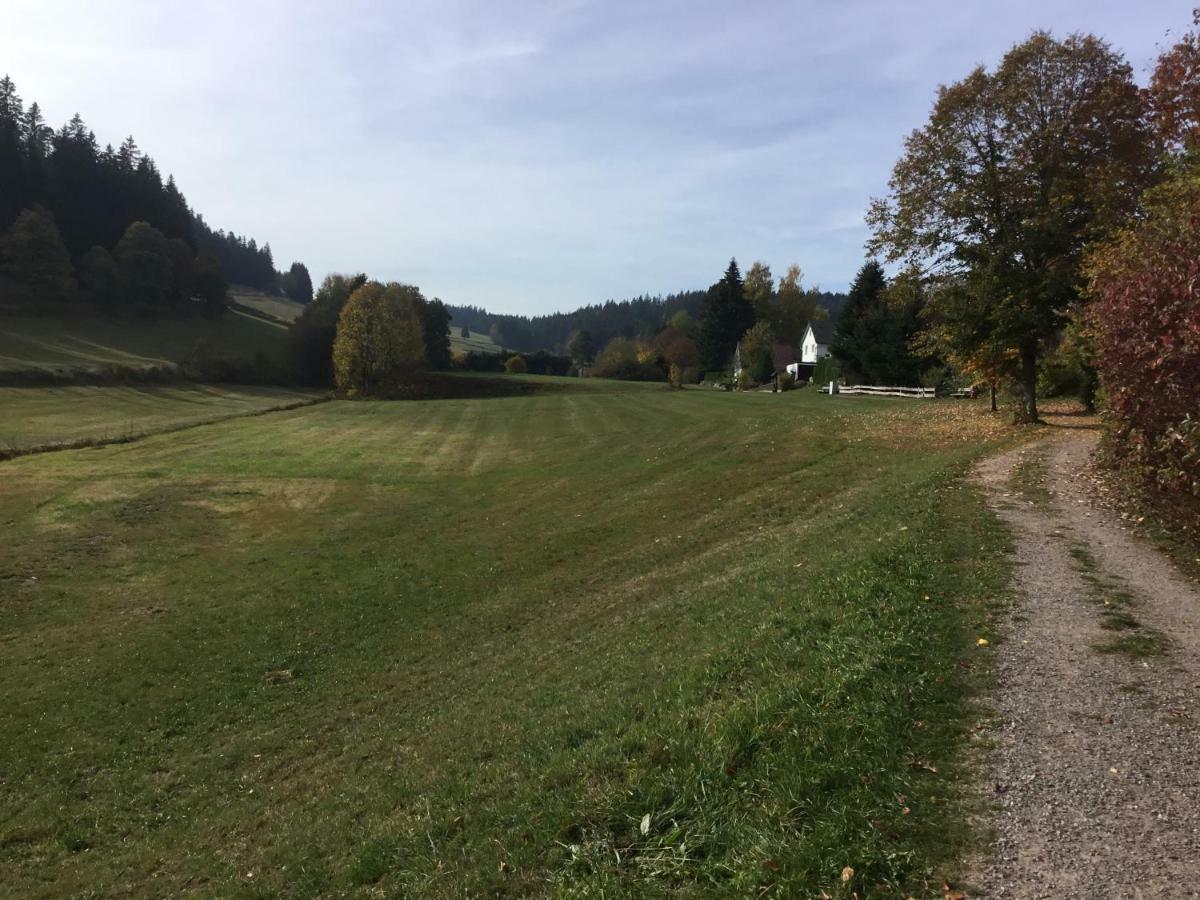 Gemuetliche 1Z Fewo In Schoenwald Mit Balkon, Schwimmbad, Sauna, Fitness Extérieur photo