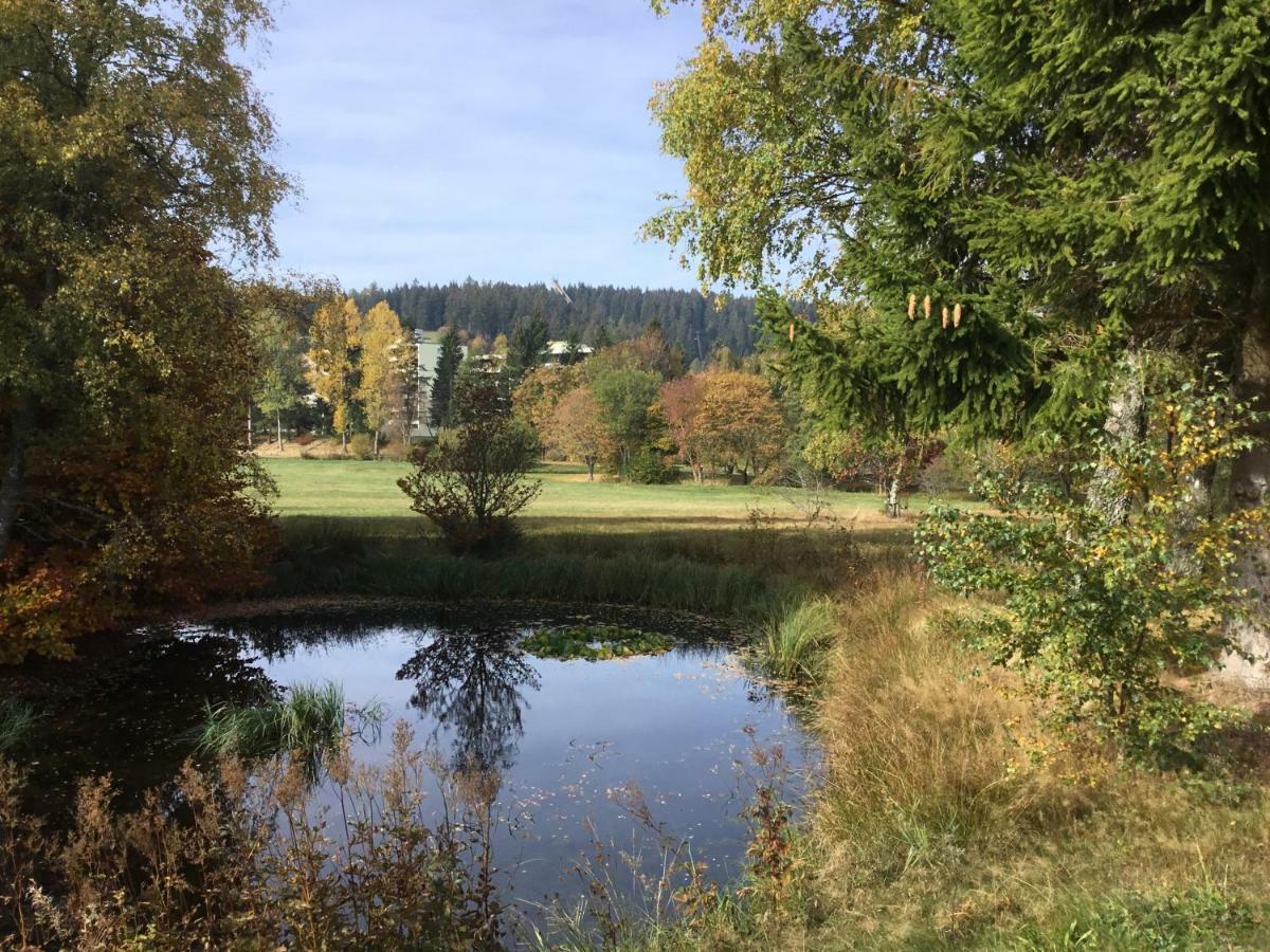 Gemuetliche 1Z Fewo In Schoenwald Mit Balkon, Schwimmbad, Sauna, Fitness Extérieur photo
